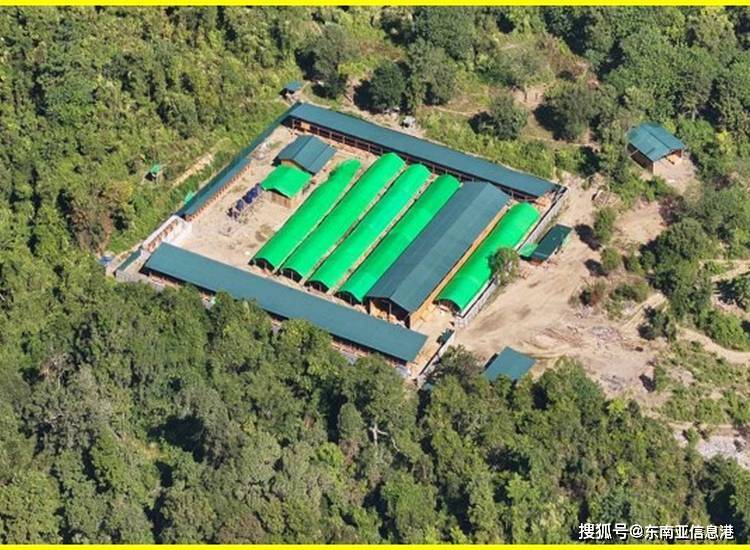 与网络赌博 三日查获涉案人员及大量物资不朽情缘游戏网站登录缅甸严打电信诈骗(图1)